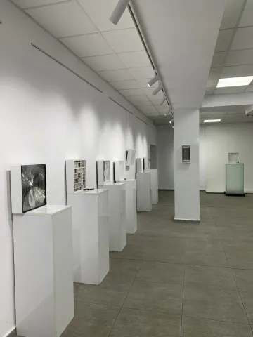 Herbarium Collection - Events - In/Out Of The Box