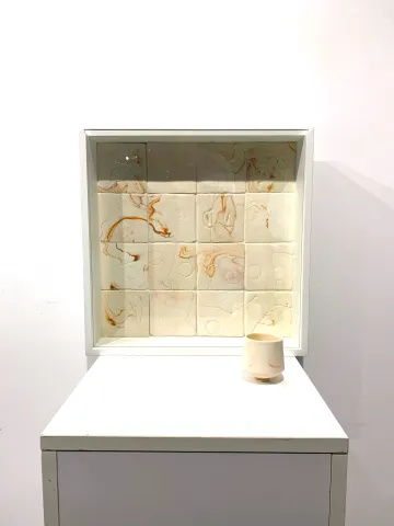 Herbarium Collection - Events - In/Out Of The Box