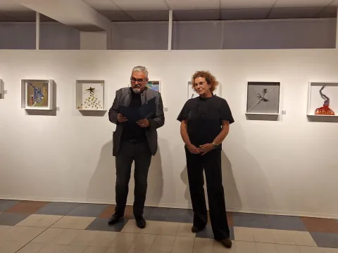 Herbarium Collection - Events - Cultural Nomads