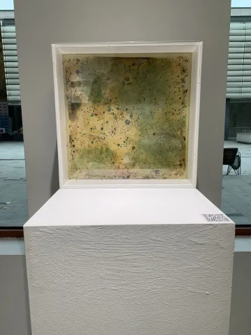 Herbarium Collection - Events - SNAC